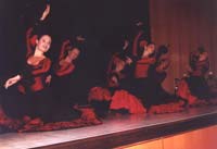 Spanischer Tanz - Feldkirchen 2002